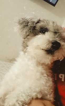 Avatar de Santiago valencia 